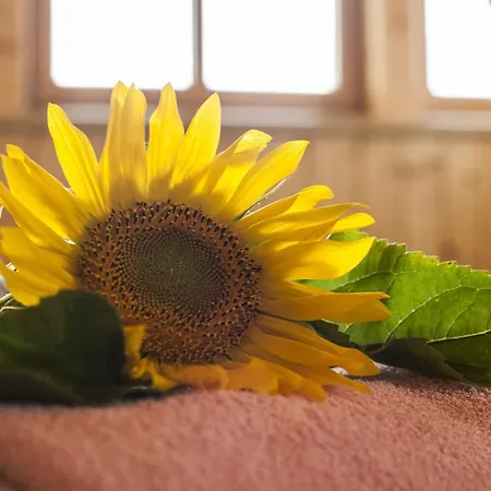 Familien-appartements Oerglwirt's Gut شقة ماريابفار