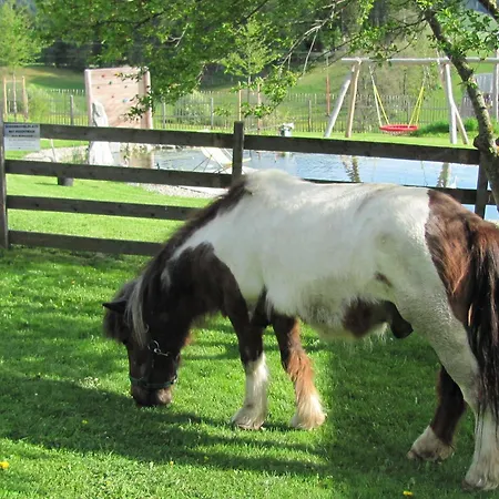 Familien-appartements Oerglwirt's Gut * ماريابفار