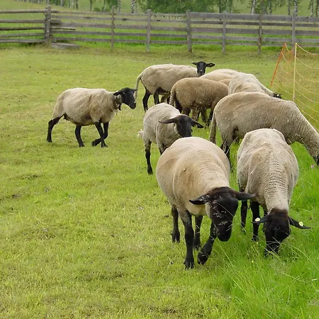 Familien-appartements Oerglwirt's Gut شقة