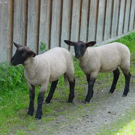 شقة Familien-appartements Oerglwirt's Gut ماريابفار