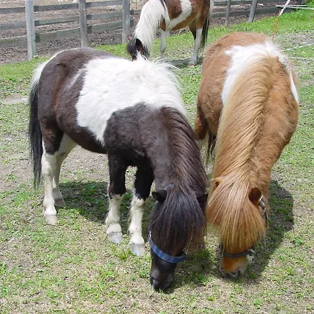 Familien-appartements Oerglwirt's Gut شقة