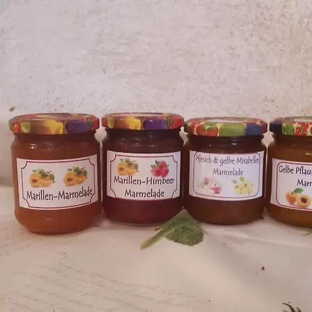 Familien-appartements Oerglwirt's Gut Apartament *