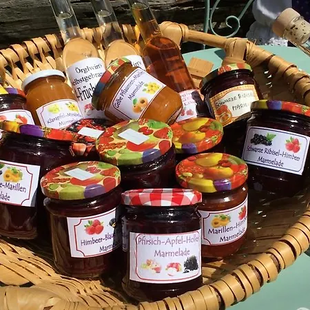 Familien-appartements Oerglwirt's Gut *