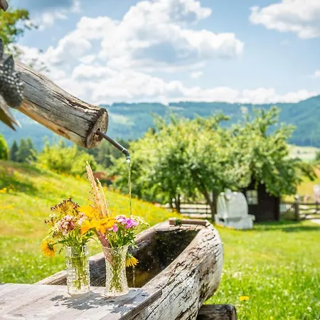 شقة Familien-appartements Oerglwirt's Gut ماريابفار