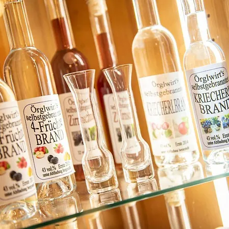 Familien-appartements Oerglwirt's Gut شقة ماريابفار